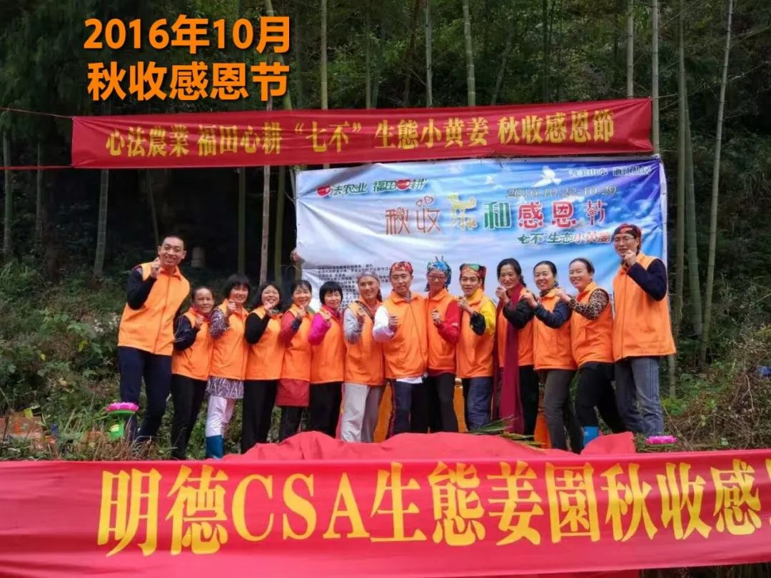 2020年七不小黄姜秋收感恩节邀请函 11月8日-15日 心法农业 福田心耕 欢喜农耕 心悦自然（浙江仙居仁庄村）