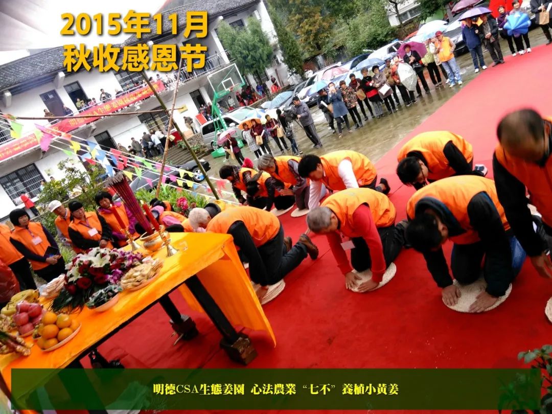 2020年七不小黄姜秋收感恩节邀请函 11月8日-15日 心法农业 福田心耕 欢喜农耕 心悦自然（浙江仙居仁庄村）