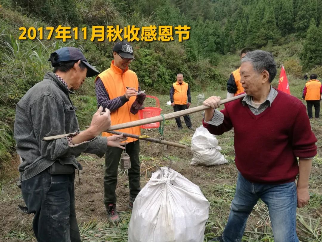 2020年七不小黄姜秋收感恩节邀请函 11月8日-15日 心法农业 福田心耕 欢喜农耕 心悦自然（浙江仙居仁庄村）