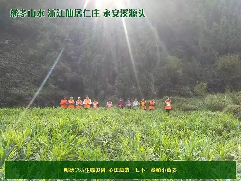 原始点 “三葆”及“不敢为天下先” 原始点 “三葆”及“不敢为天下先”