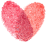 【鹃城社工-喜安站点】喜安社区志愿者队伍急救知识培训活动