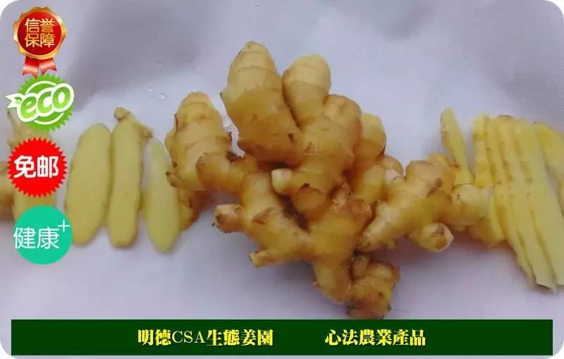 原始点 “三葆”及“不敢为天下先” 原始点 “三葆”及“不敢为天下先”