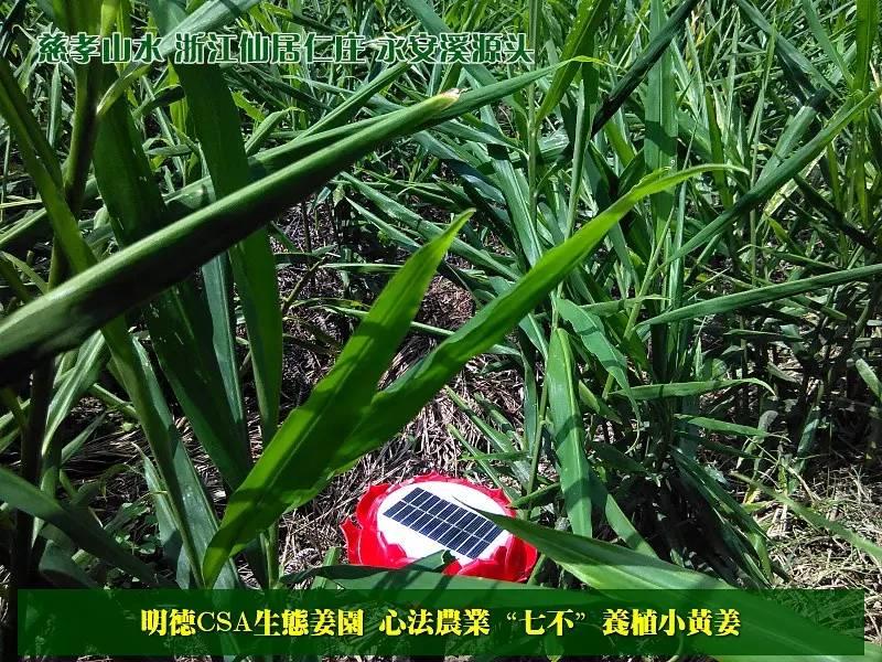 原始点 “三葆”及“不敢为天下先” 原始点 “三葆”及“不敢为天下先”