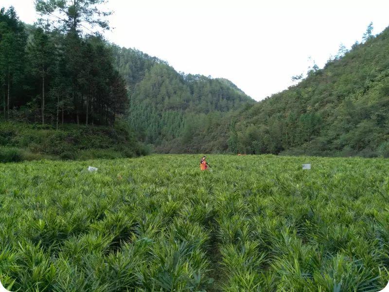 原始点健康耕学夏令营      -自然 生态 乐和 健康