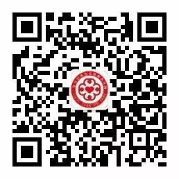 参汤制作方法 参汤制作方法