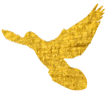 【鹃城社工-喜安站点】喜安社区志愿者队伍急救知识培训活动