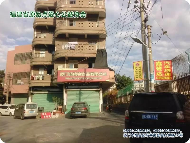 如何学好并落实原始点-福建省原始点爱心公益协会张彩香老师分享