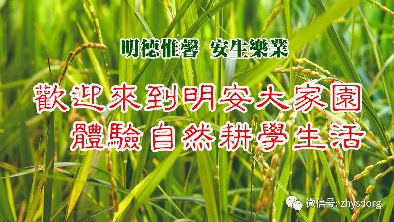 原始点小品 原始点娃娃 原始点脑中风处理 原创精彩 孩子太可爱了! 原始点小品 原始点娃娃 原始点脑中风处理 原创精彩 孩子太可爱了!