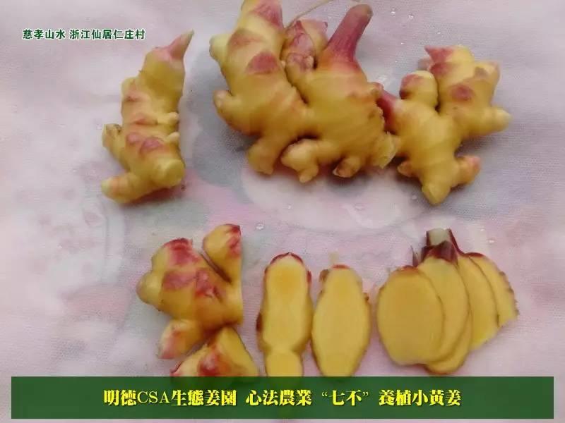 原始点 “三葆”及“不敢为天下先” 原始点 “三葆”及“不敢为天下先”