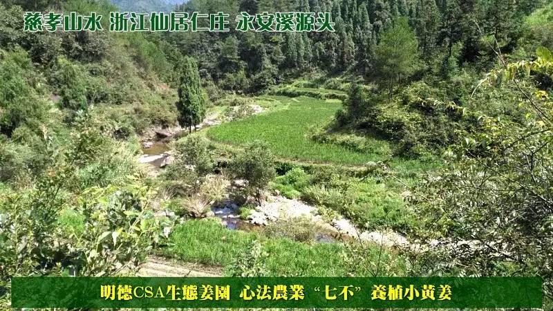 原始点 “三葆”及“不敢为天下先” 原始点 “三葆”及“不敢为天下先”