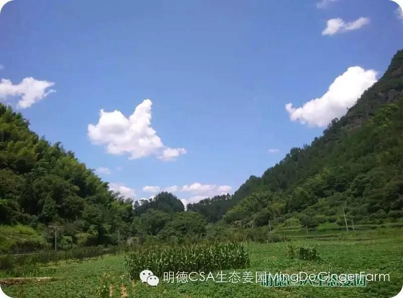 原始点生命健康学习班 2017明安大家园 贰期