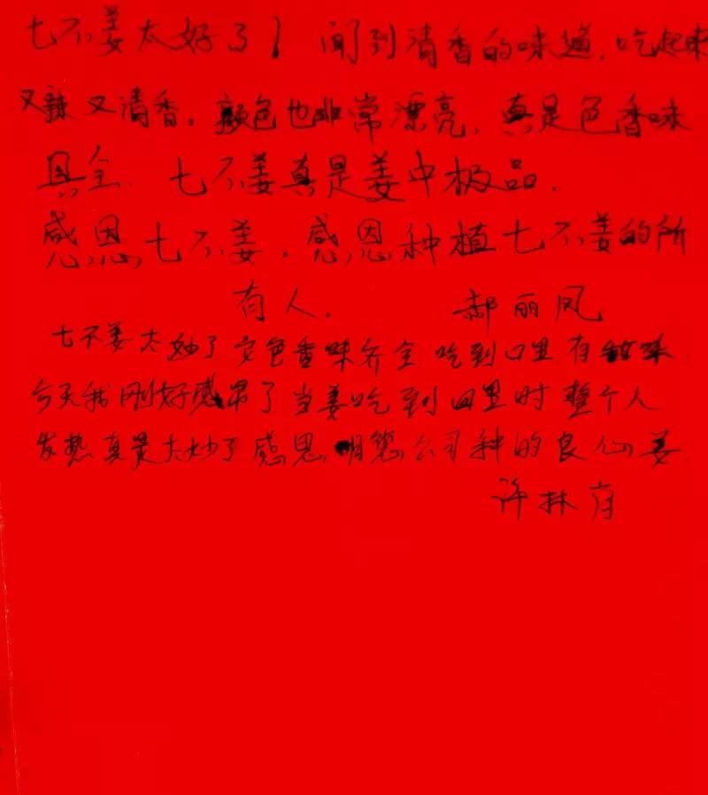 原始点 “三葆”及“不敢为天下先” 原始点 “三葆”及“不敢为天下先”