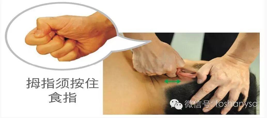 各部位原始点位置及其涵盖范围(头部 颈部) 各部位原始点位置及其涵盖范围(头部 颈部)