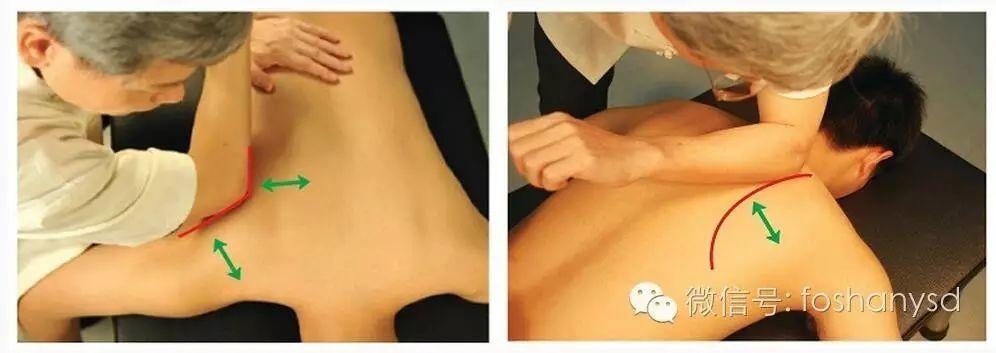 各部位原始点位置及其涵盖范围 (肩部 荐椎部)