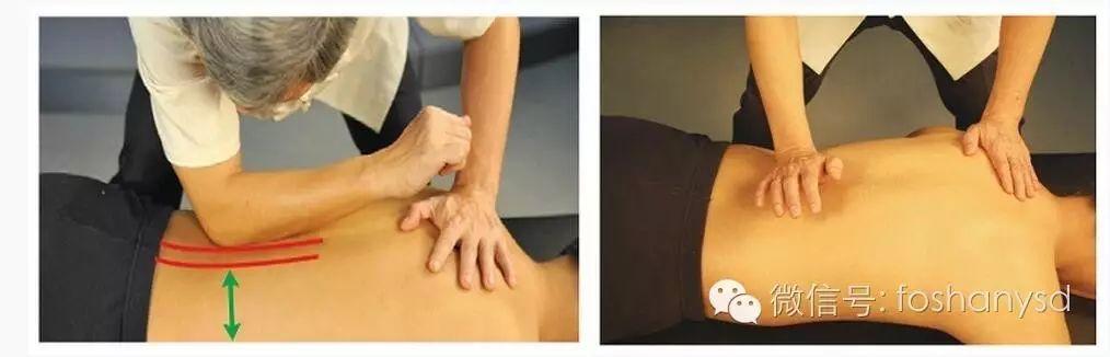 各部位原始点位置及其涵盖范围 (上下背部) 各部位原始点位置及其涵盖范围 (上下背部)