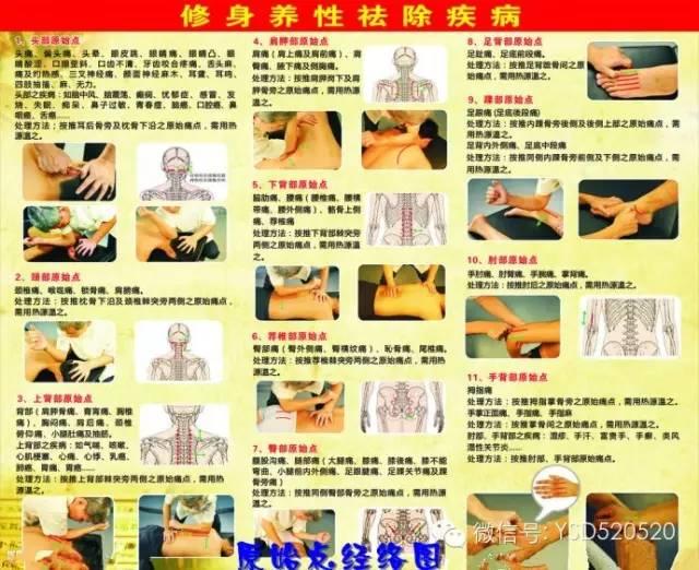 原始点究竟有多厉害,足以颠覆目前所有医学领域 原始点究竟有多厉害,足以颠覆目前所有医学领域