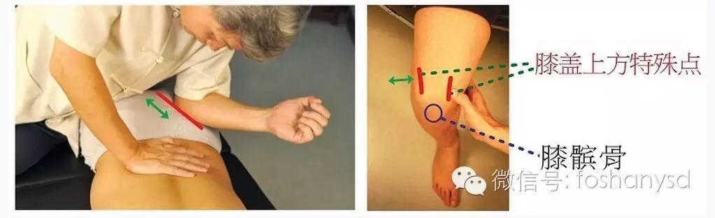 各部位原始点位置及其涵盖范围(臀部 踝部)