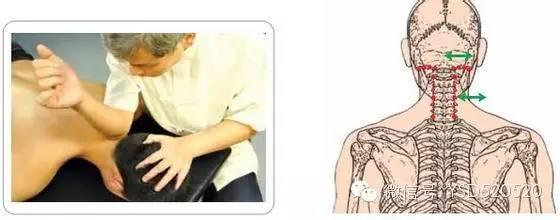 原始点究竟有多厉害,足以颠覆目前所有医学领域 原始点究竟有多厉害,足以颠覆目前所有医学领域