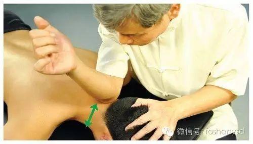 各部位原始点位置及其涵盖范围(头部 颈部) 各部位原始点位置及其涵盖范围(头部 颈部)