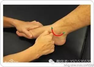 原始点究竟有多厉害,足以颠覆目前所有医学领域 原始点究竟有多厉害,足以颠覆目前所有医学领域