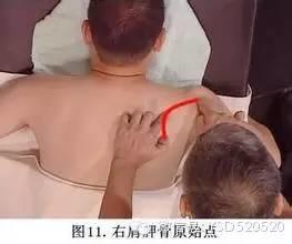 原始点究竟有多厉害,足以颠覆目前所有医学领域 原始点究竟有多厉害,足以颠覆目前所有医学领域