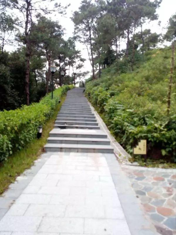 原始点调理突发性全身无力尿失禁视力模糊:热源是根本 原始点调理突发性全身无力尿失禁视力模糊:热源是根本