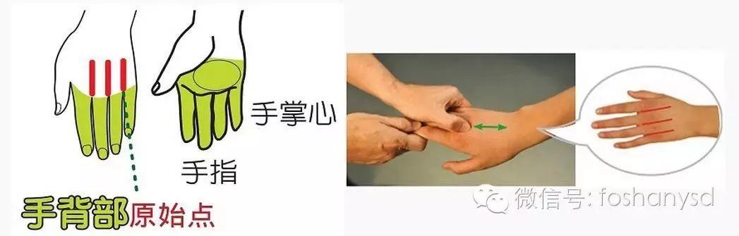 各部位原始点位置及其涵盖范围 (足背部 肘部 手背部) 各部位原始点位置及其涵盖范围 (足背部 肘部 手背部)