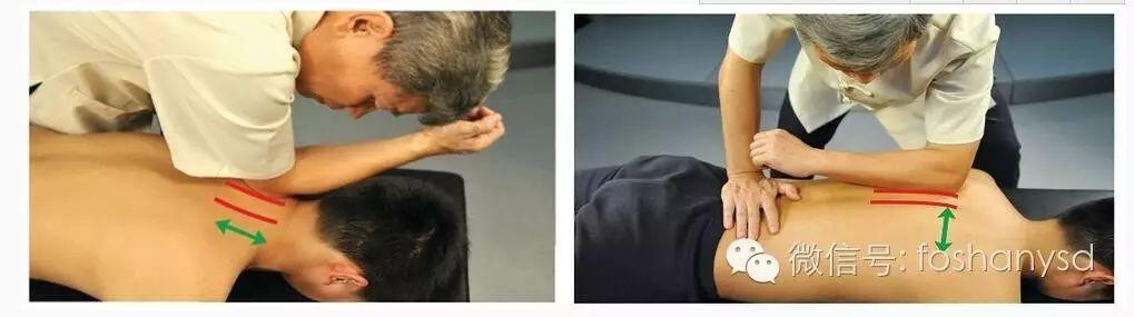 各部位原始点位置及其涵盖范围 (上下背部) 各部位原始点位置及其涵盖范围 (上下背部)