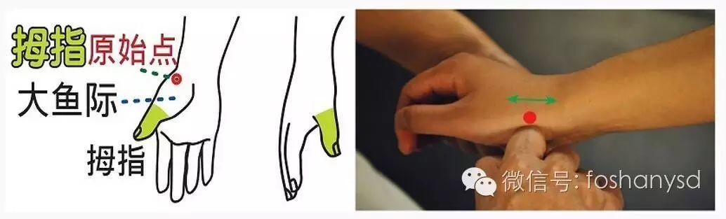 各部位原始点位置及其涵盖范围 (足背部 肘部 手背部) 各部位原始点位置及其涵盖范围 (足背部 肘部 手背部)