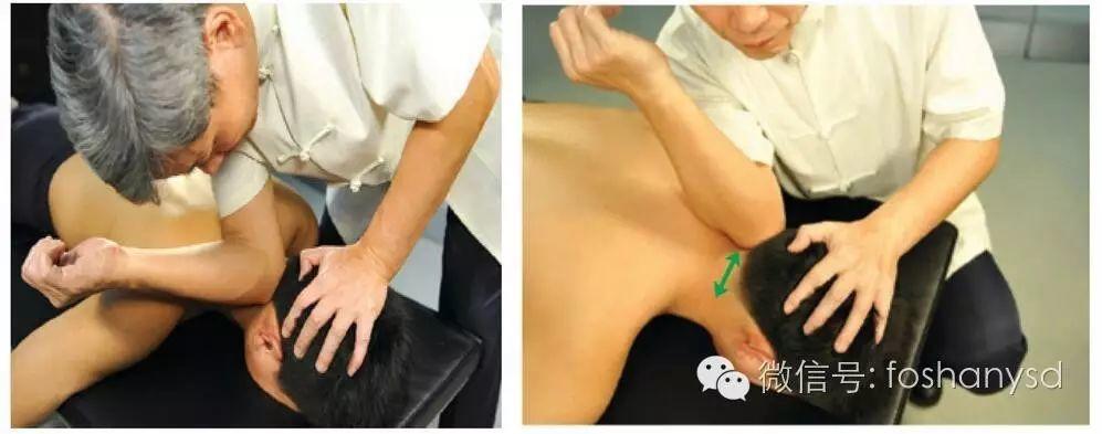 各部位原始点位置及其涵盖范围(头部 颈部) 各部位原始点位置及其涵盖范围(头部 颈部)