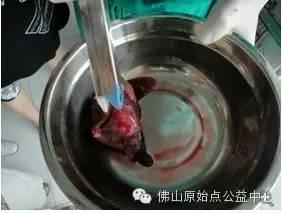 原始点使肺癌晚期康复到九成！