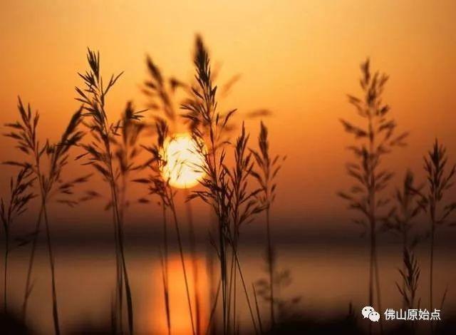 原始点调理带状疱疹：又快又彻底