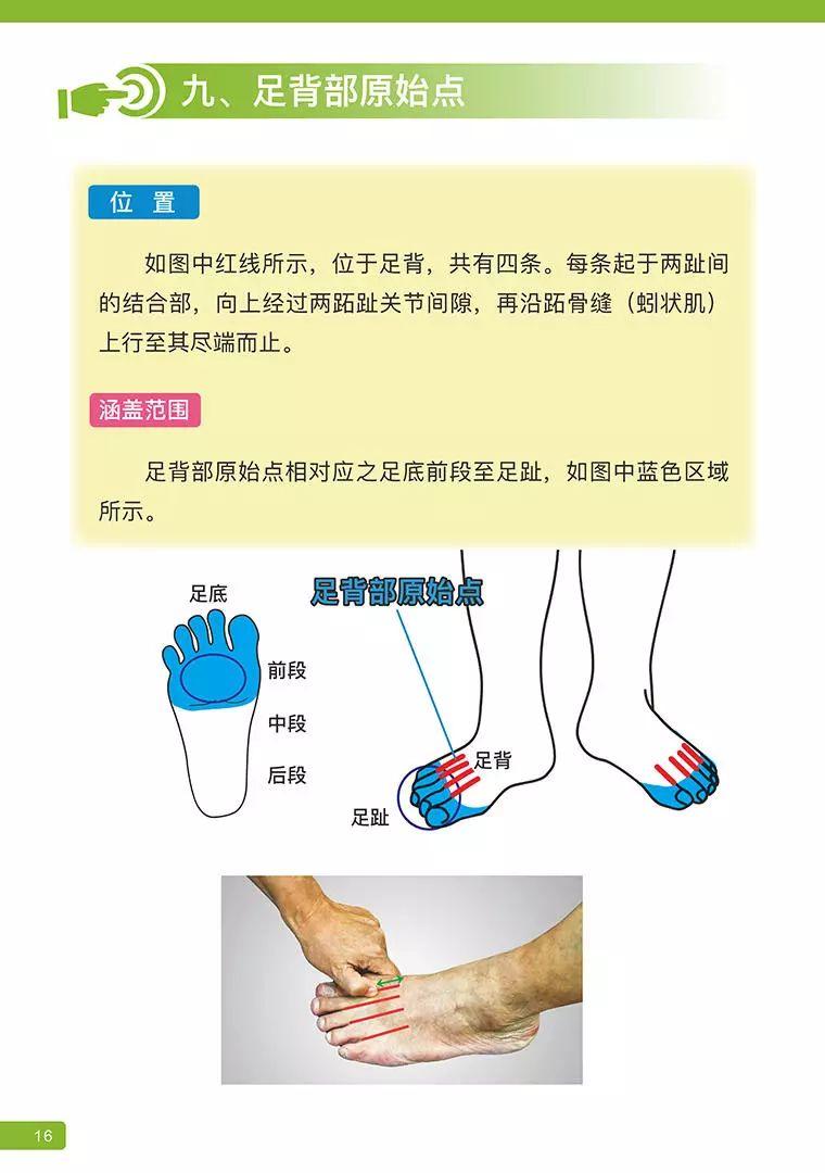 《原始点医学》 (2019年4月第15版)