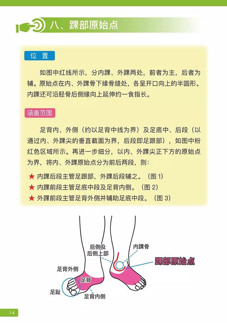 《原始点医学》 (2019年4月第15版)