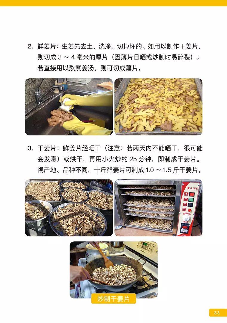 《原始点医学》 (2019年4月第15版)