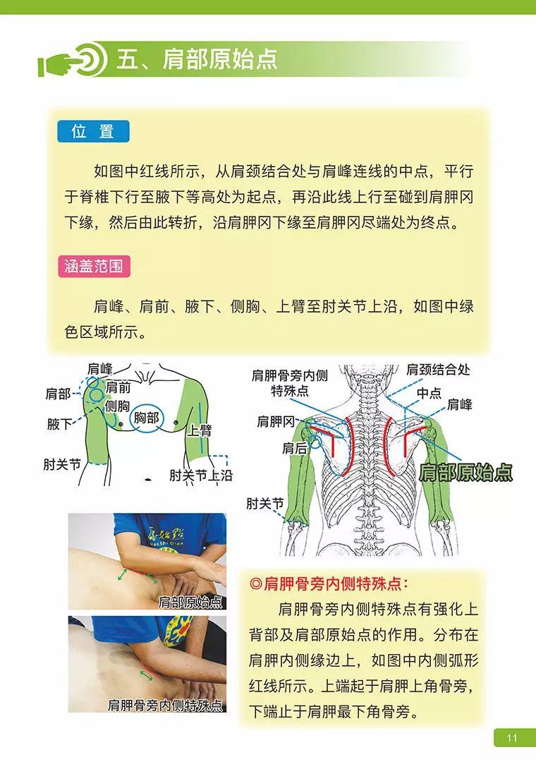 《原始点医学》 (2019年4月第15版)