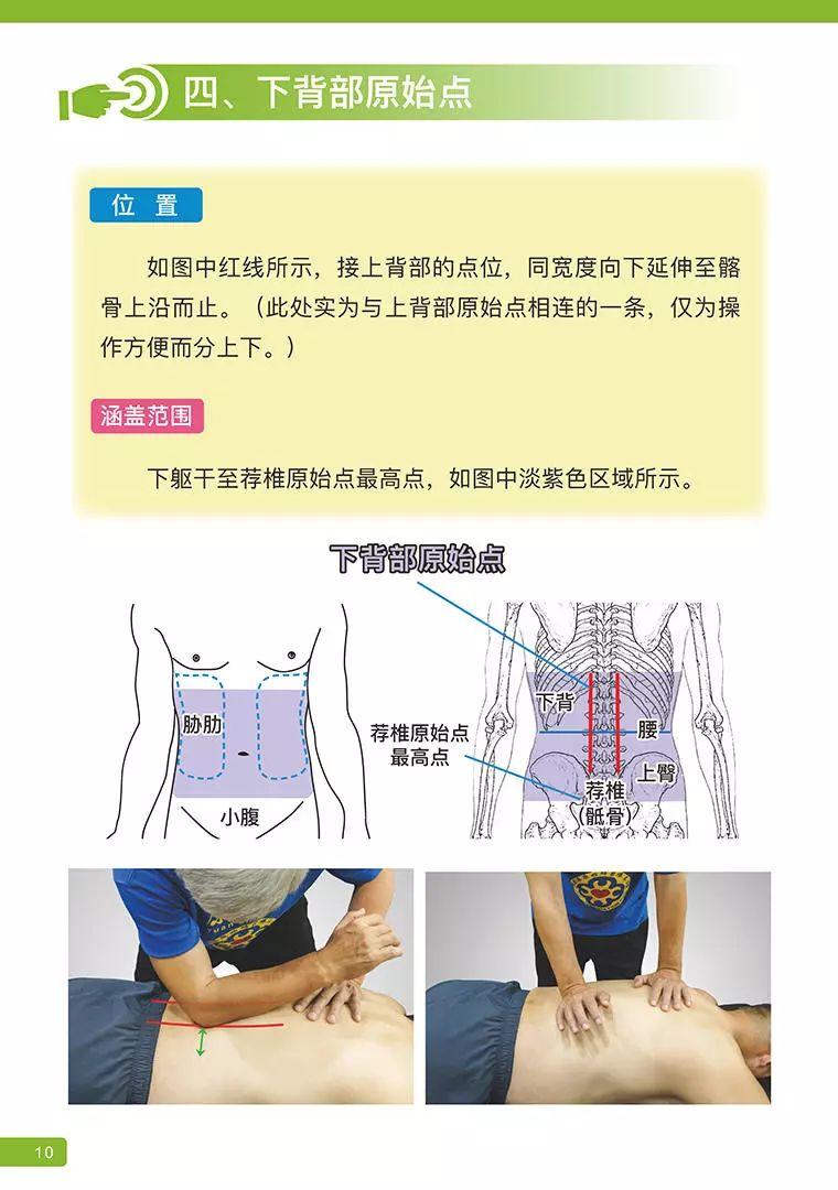 《原始点医学》 (2019年4月第15版)