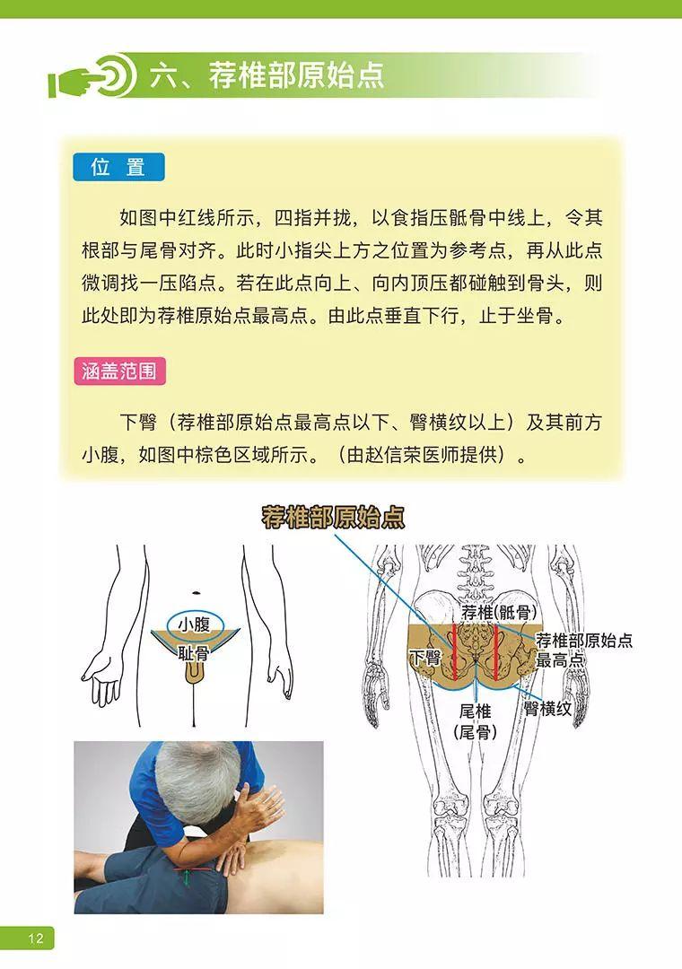 《原始点医学》 (2019年4月第15版)