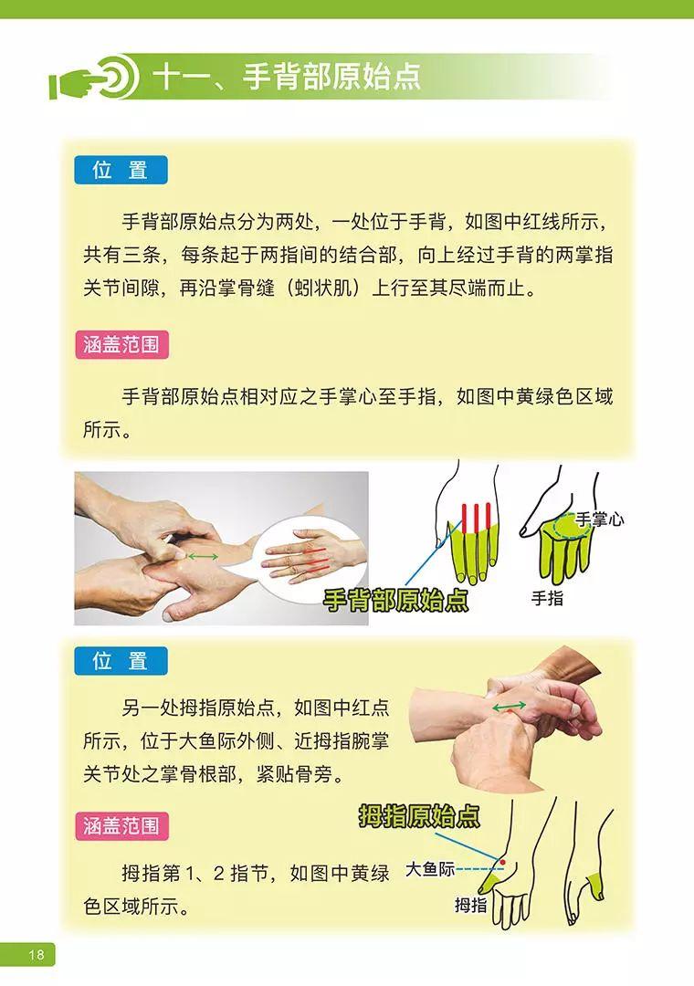 《原始点医学》 (2019年4月第15版)