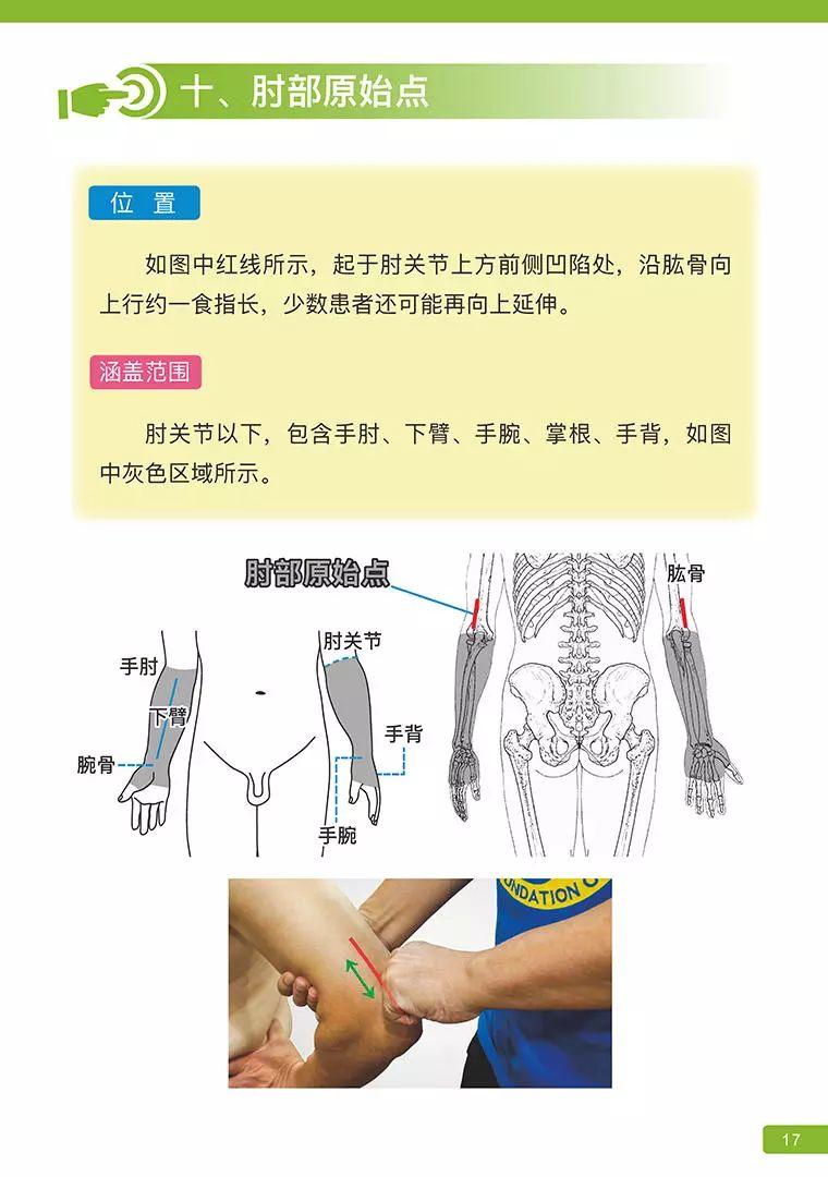 《原始点医学》 (2019年4月第15版)