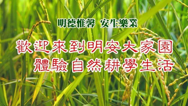 2019年浙江仙居 7月8月 儿童青少年国学耕读夏令营 招生 -自然 生态 乐和 健康 2019年浙江仙居 7月8月 儿童青少年国学耕读夏令营 招生 -自然 生态 乐和 健康
