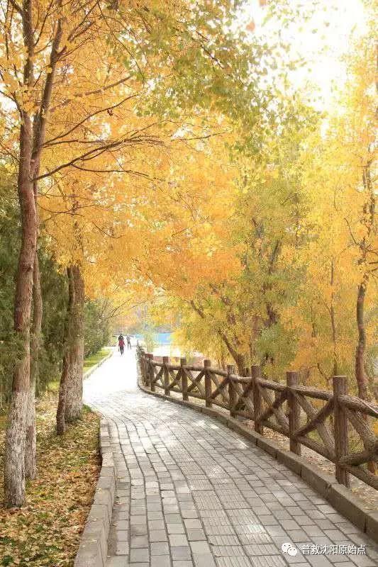 危重病养生营第13期集结通知