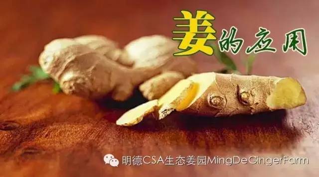 教你正确存放生姜鲜姜方法,放一个月都新鲜,真是太厉害了 教你正确存放生姜鲜姜方法,放一个月都新鲜,真是太厉害了