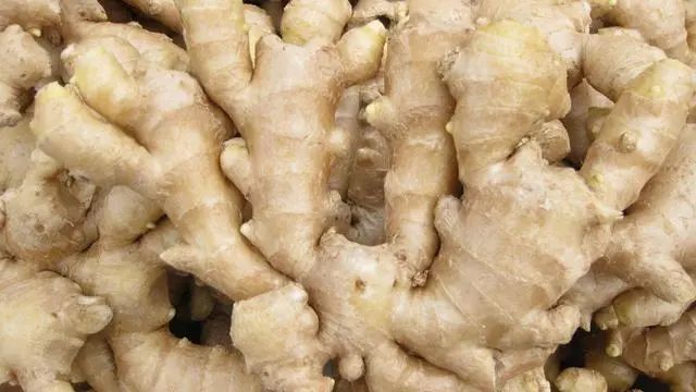 教你正确存放生姜鲜姜方法,放一个月都新鲜,真是太厉害了 教你正确存放生姜鲜姜方法,放一个月都新鲜,真是太厉害了