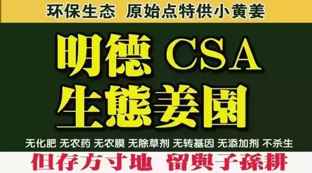 教你正确存放生姜鲜姜方法,放一个月都新鲜,真是太厉害了 教你正确存放生姜鲜姜方法,放一个月都新鲜,真是太厉害了