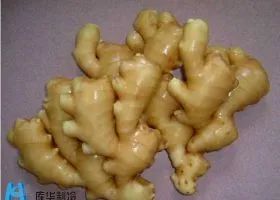 教你正确存放生姜鲜姜方法,放一个月都新鲜,真是太厉害了 教你正确存放生姜鲜姜方法,放一个月都新鲜,真是太厉害了