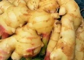 教你正确存放生姜鲜姜方法,放一个月都新鲜,真是太厉害了 教你正确存放生姜鲜姜方法,放一个月都新鲜,真是太厉害了