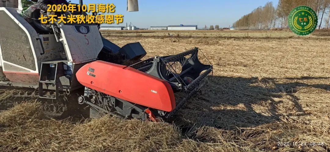 2020年七不小黄姜秋收感恩节邀请函 11月8日-15日 心法农业 福田心耕 欢喜农耕 心悦自然（浙江仙居仁庄村）