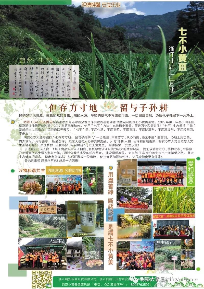 2020年七不小黄姜秋收感恩节邀请函 11月8日-15日 心法农业 福田心耕 欢喜农耕 心悦自然（浙江仙居仁庄村）