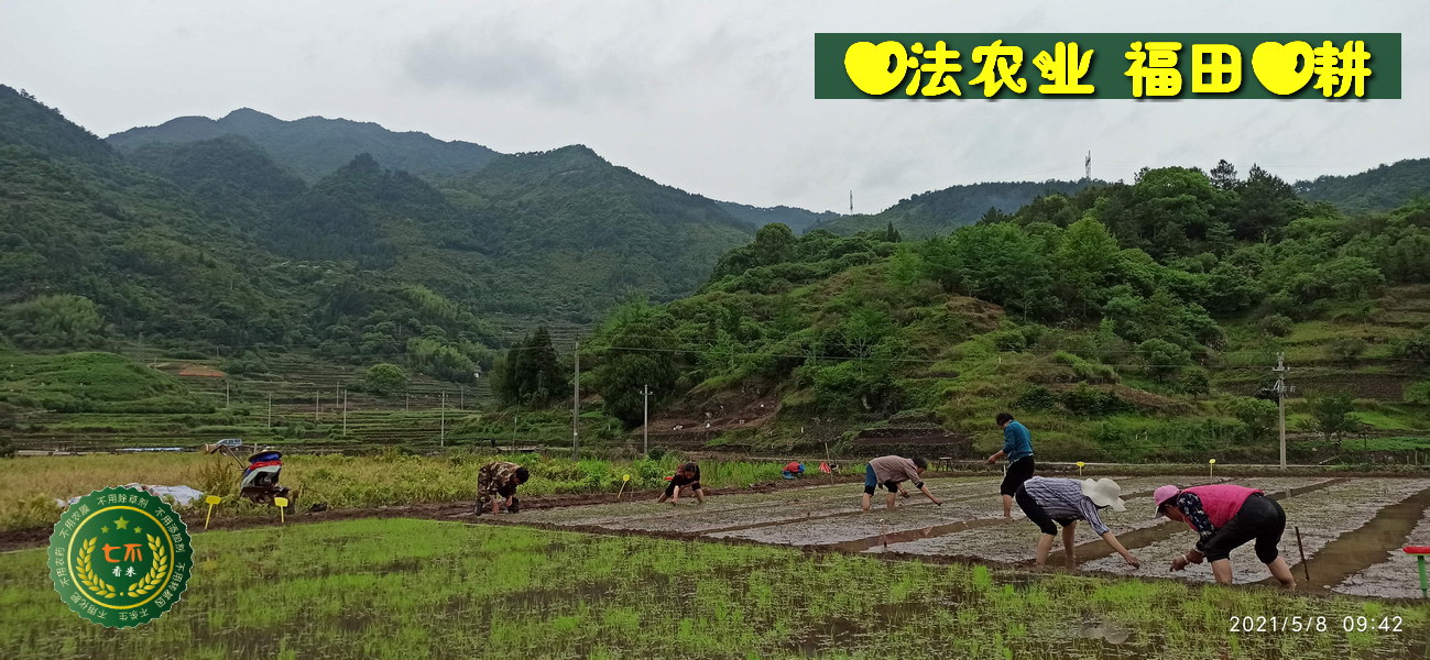 宮頸癌前病變案例 周紅艷48歲 2020年5月開始每天噴兩次姜粉,四個月后檢查正常!-七不姜 生姜養生網-明德CSA生態姜園&明安農業